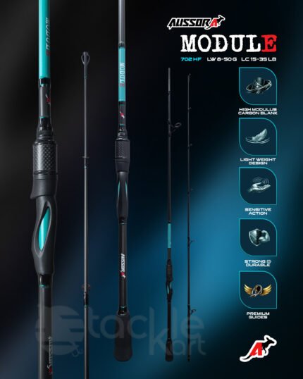 AUSSORA MODULE 702HF SPINNING ROD